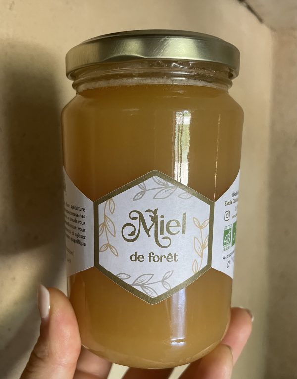 Miel de Forêt BIO